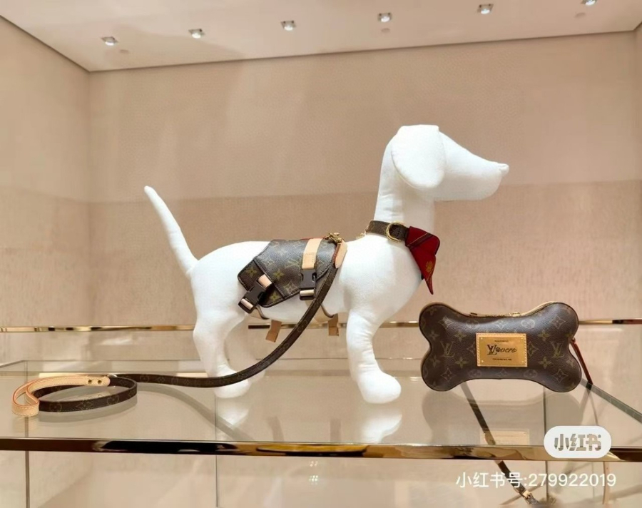 더미러THE Mirror_사진_20260120_7.jpg