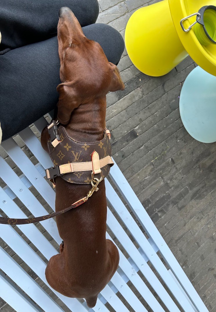 더미러THE Mirror_사진_20260120_11.jpg