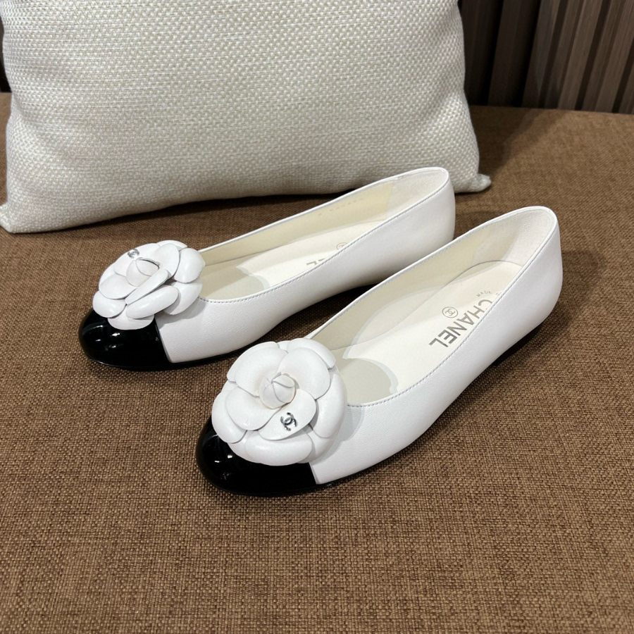 더미러THE Mirror_사진_20260214_5.jpg