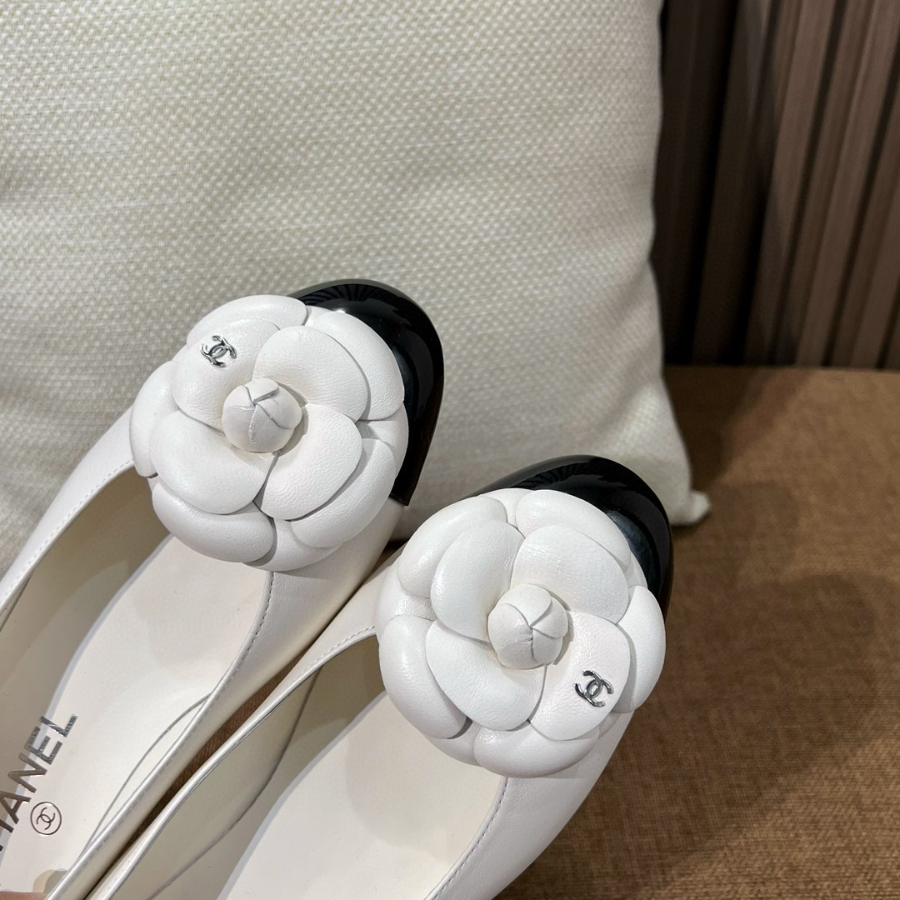 더미러THE Mirror_사진_20260214_8.jpg