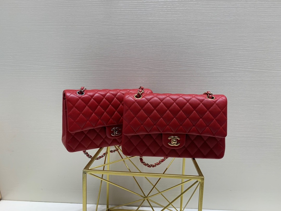 더미러THE Mirror_사진_20260308_1.jpg