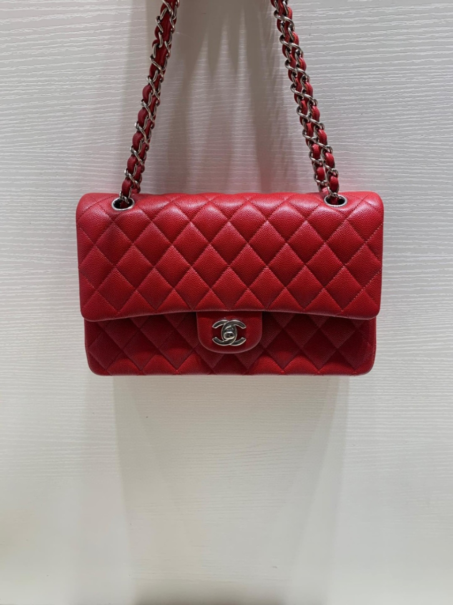 더미러THE Mirror_사진_20260308_2.jpg