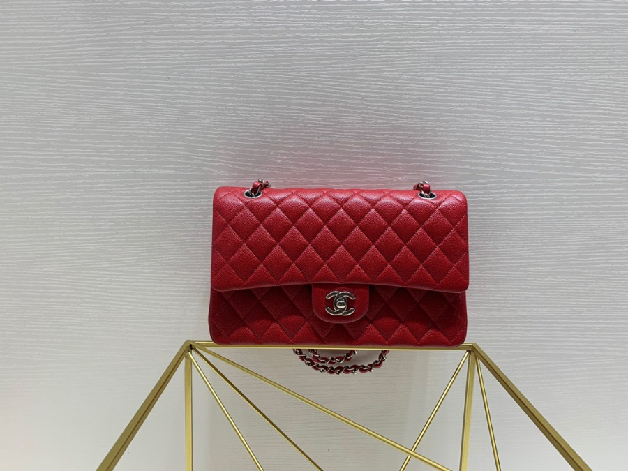 더미러THE Mirror_사진_20260308_4.jpg