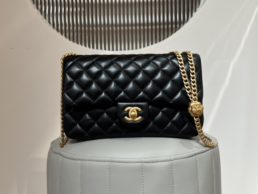 더미러THE Mirror_사진_20260308_4.jpg