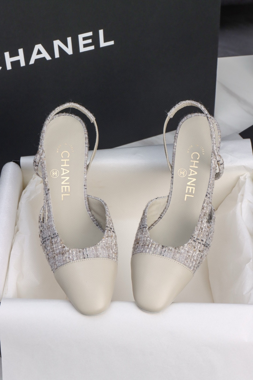 더미러THE Mirror_사진_20260316_2.jpg