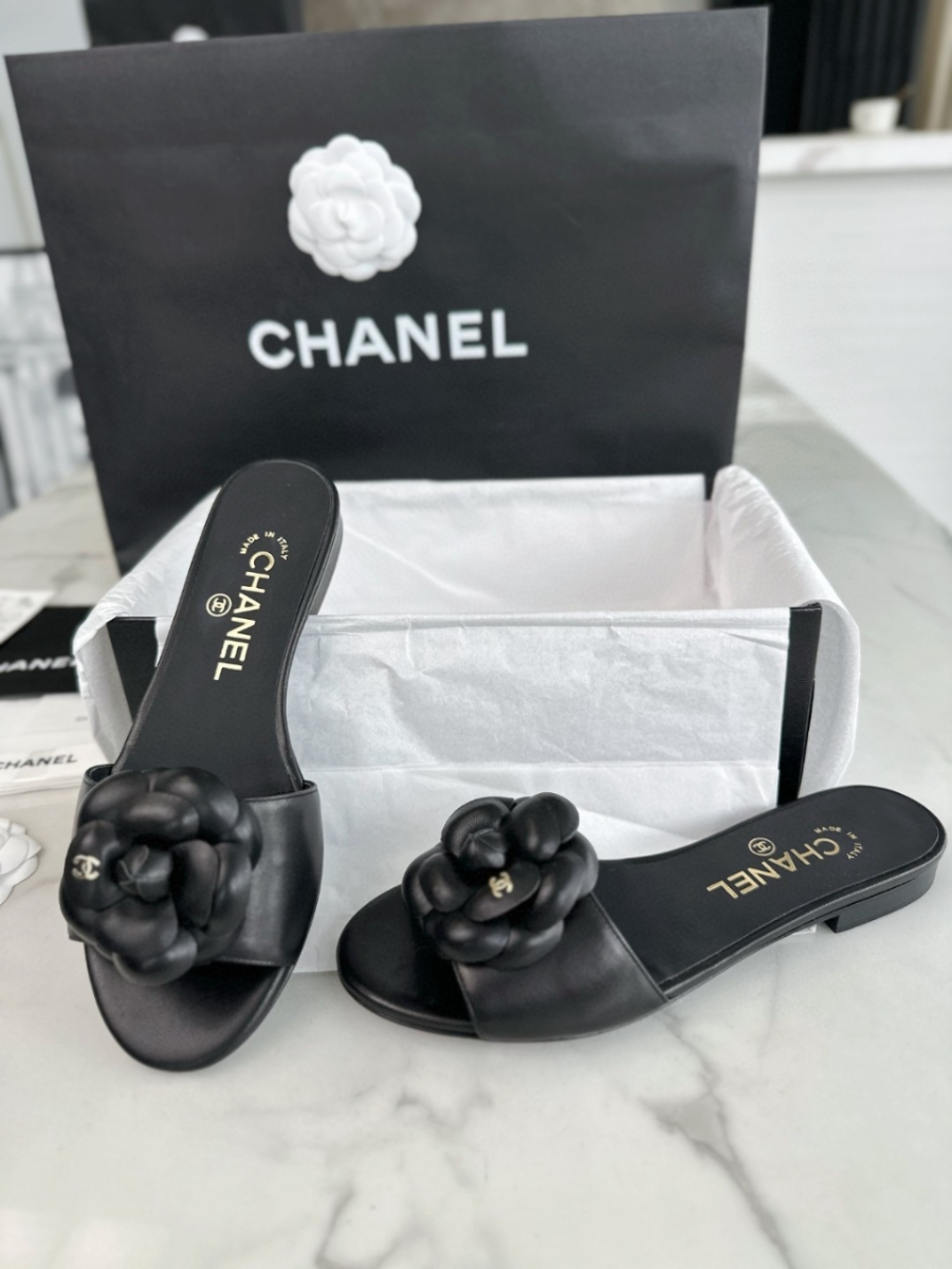 더미러THE Mirror_사진_20260316_4.jpg