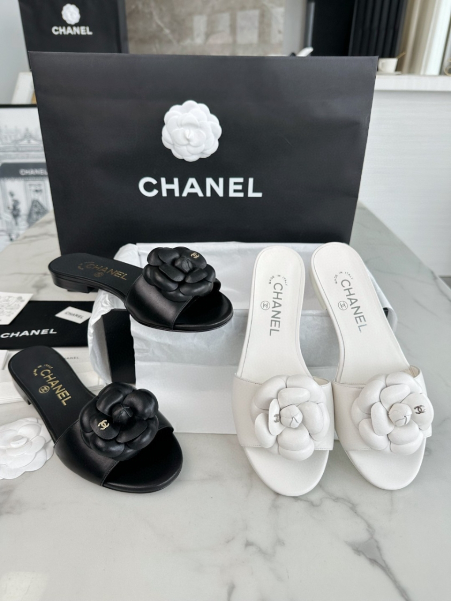 더미러THE Mirror_사진_20260316_10.jpg