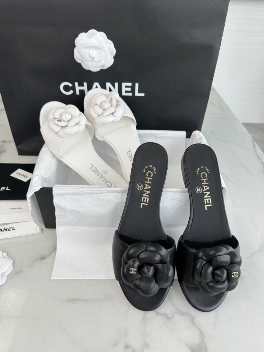 더미러THE Mirror_사진_20260316_11.jpg